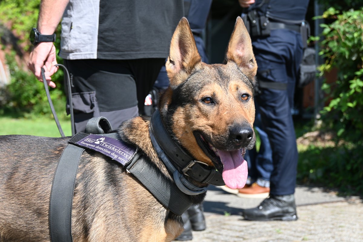 Geen illegaal vuurwerk aangetroffen bij controle garageboxen. Lees meer via 👉tinyurl.com/2s4j6m68.