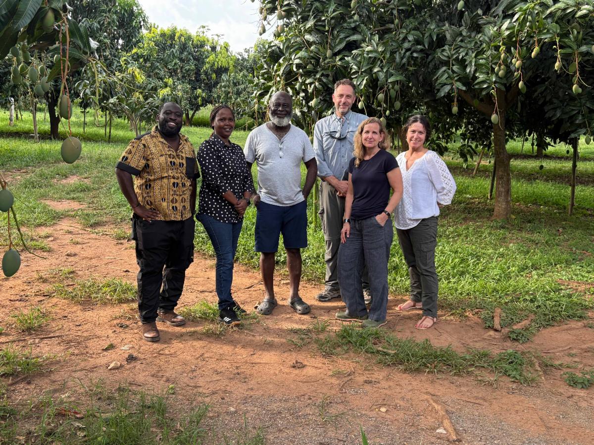 From D.C. to Stockholm to Kigali, ILIMS has been collaborating on presentations and initiatives related to irrigation and mechanization systems around the world. Follow our latest work: conta.cc/4fV6lHe