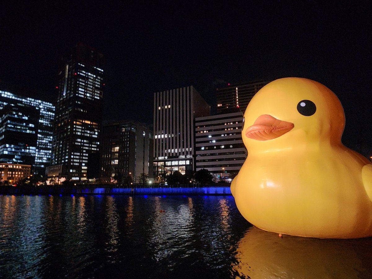 k5ithd's tweet photo. 今年も会えたー！！🐤 https://t.co/8vUaXNcALM