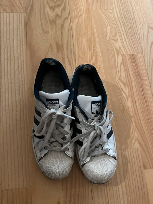 RipianH55535's tweet photo. I met this slutty 19y.o. waitress Anna in Denmark. Beautyful girl with toxic stinking feet and shoes. The insoles of her Adidas superstars are already eaten up by sweat, so she wear them without. Mostly worn bare , some times with nylons #stinkyshoes #trashedshoes #stinkyfeet https://t.co/KpXsNmoWVz