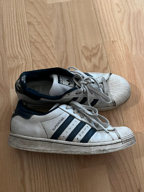 RipianH55535's tweet photo. I met this slutty 19y.o. waitress Anna in Denmark. Beautyful girl with toxic stinking feet and shoes. The insoles of her Adidas superstars are already eaten up by sweat, so she wear them without. Mostly worn bare , some times with nylons #stinkyshoes #trashedshoes #stinkyfeet https://t.co/KpXsNmoWVz