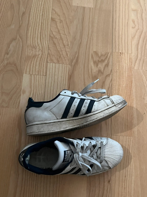RipianH55535's tweet photo. I met this slutty 19y.o. waitress Anna in Denmark. Beautyful girl with toxic stinking feet and shoes. The insoles of her Adidas superstars are already eaten up by sweat, so she wear them without. Mostly worn bare , some times with nylons #stinkyshoes #trashedshoes #stinkyfeet https://t.co/KpXsNmoWVz