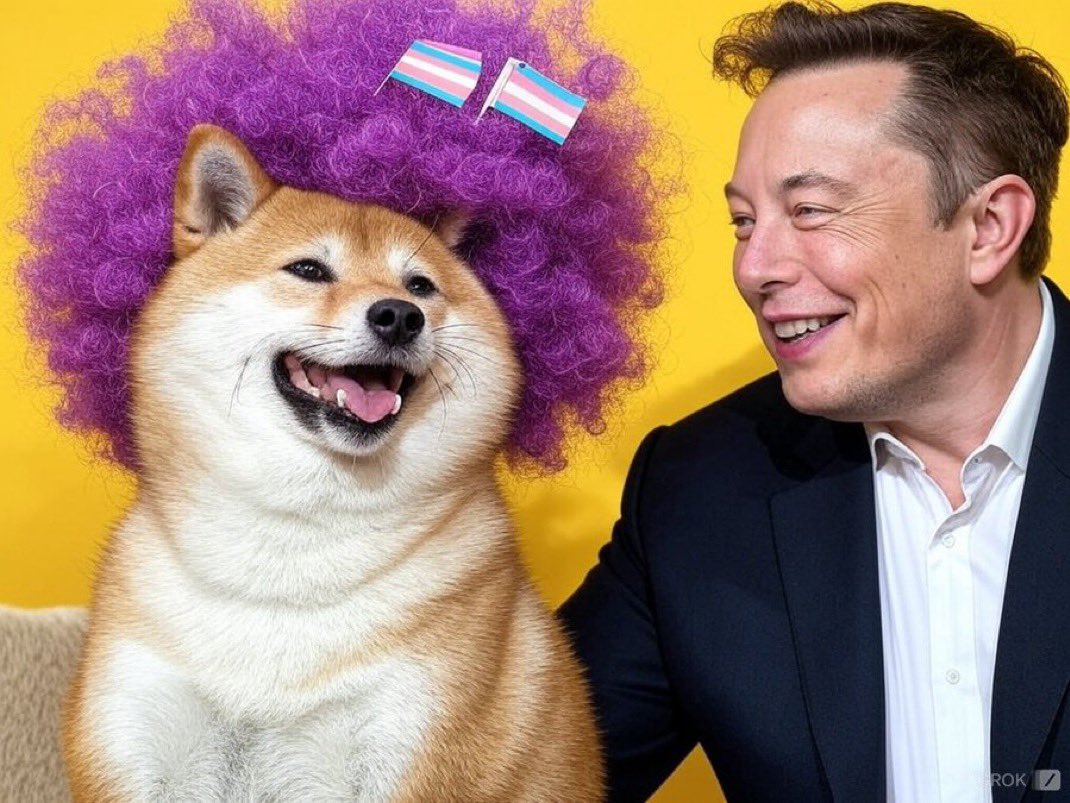 WokeDogeMeme's tweet photo. @cottonxbt Get in early, hold tight, and never let go - become a true diamond hand with WOKE DOGE! We're starting at a 4k MC - it's time to restore sanity with memes that bite back! 🐕🔥

**WOKE DOGE on Raydium**

Address: 3Zcx9BQF4mavqx9CdfdtFAYZnM7BsFa7sLiYd4JKSMk7 https://t.co/1YowEIhtzs