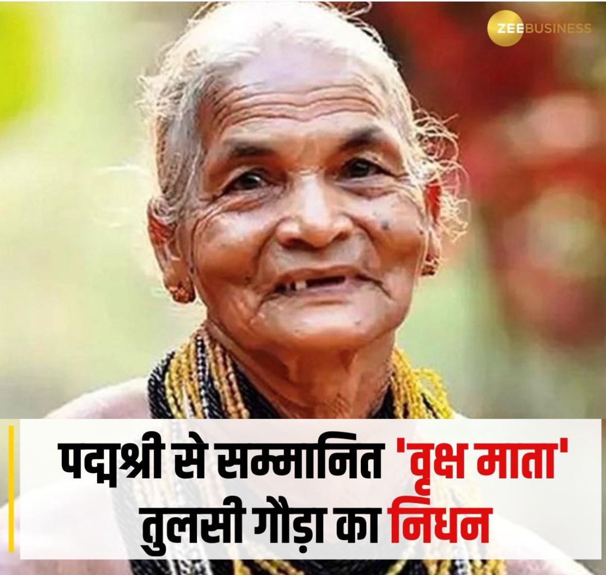 मोहित पर्यावरण मित्र tweet media