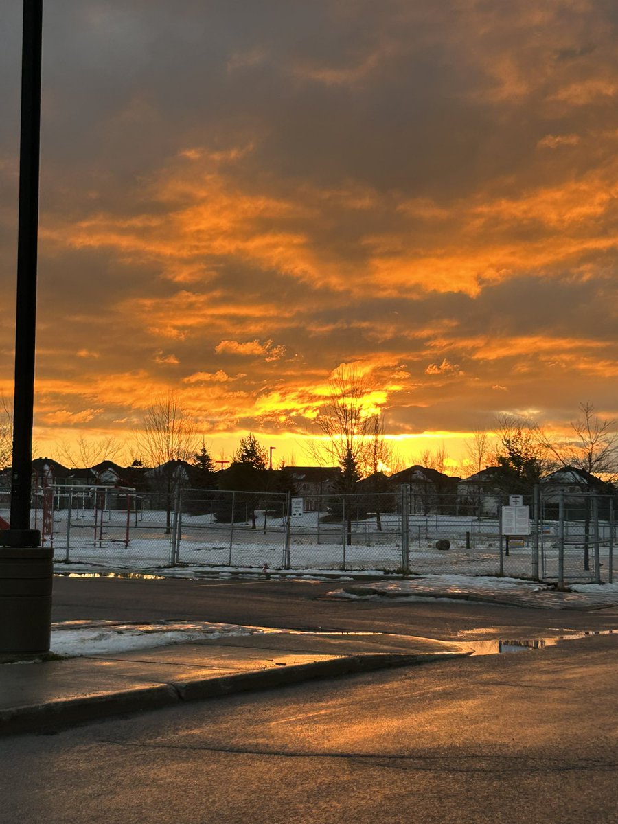 Jody Prevost (she/her) tweet media