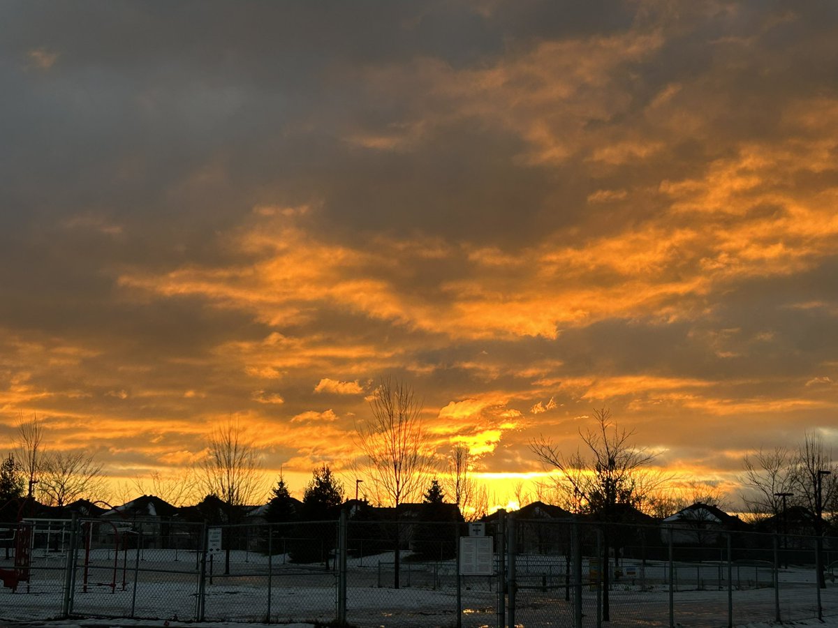 Jody Prevost (she/her) tweet media