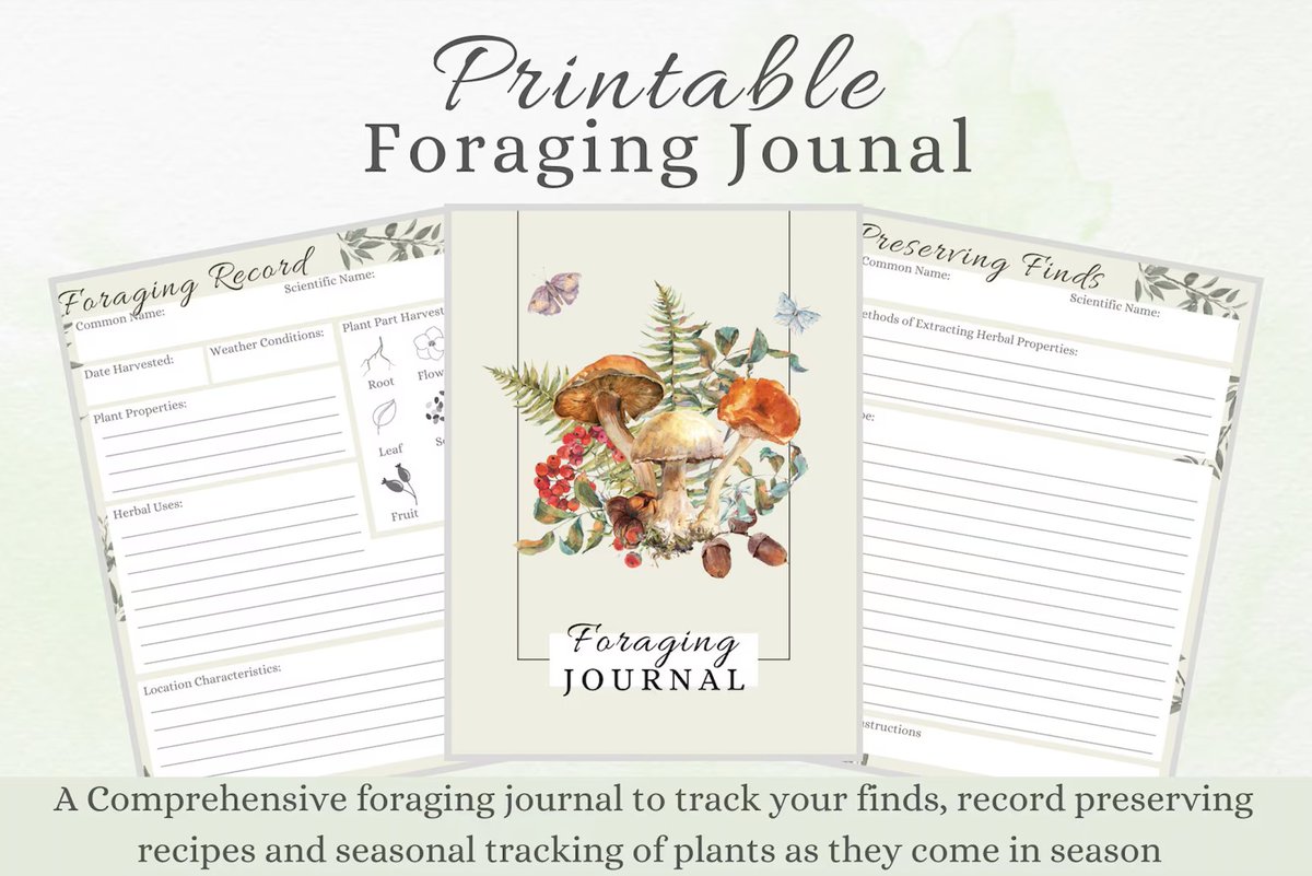 Aquilegia_blue's tweet photo. #Foragejounal #Foragejournaling #foragingjournal( #海の幸・山の幸の採集記録帳 )というものが存在するらしい。山や海で採ったものの記録帳。
今まで旅ノートの一コマでやってきたことを、これだけ抜き出してログを取るという発想。これはいい、来年やろう。
#手帳の中身 https://t.co/nzTAUJMyp3
