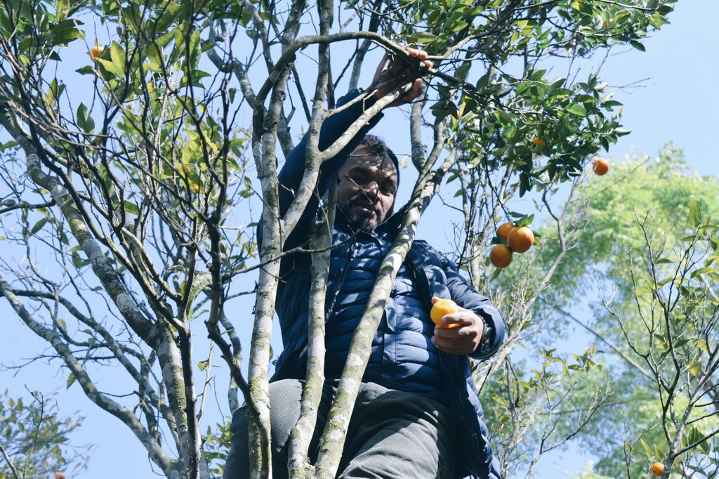 devchandra32's tweet image. समात्नु है दाजु