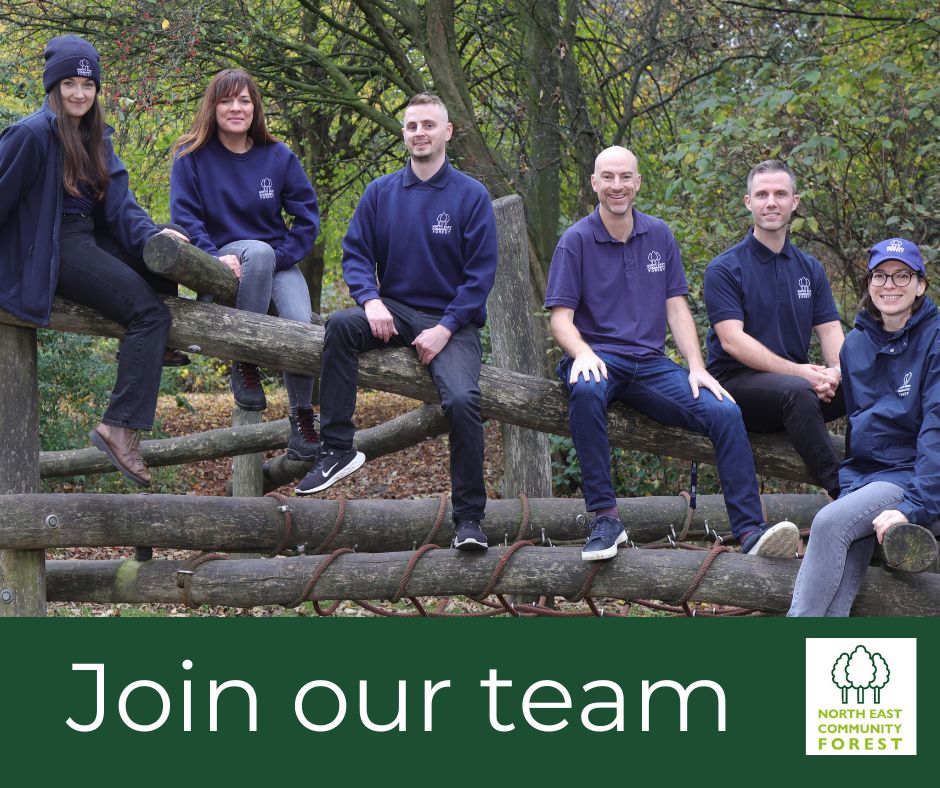 Join the North East Community Forest! 🌳

We’re hiring 2 Community Woodland Officers to help deliver this exciting programme as part of the England Community Forests network.

Apply now: Community Woodland Officer - Newcastle City Council - North East Jobs