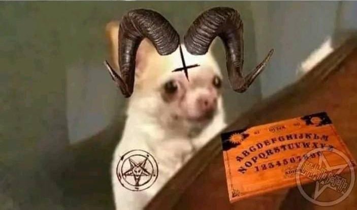 666brutalmetal's tweet image. Mi suegra: él ex de mi hija era cristiano. Tú a qué iglesia vas?
-yo...