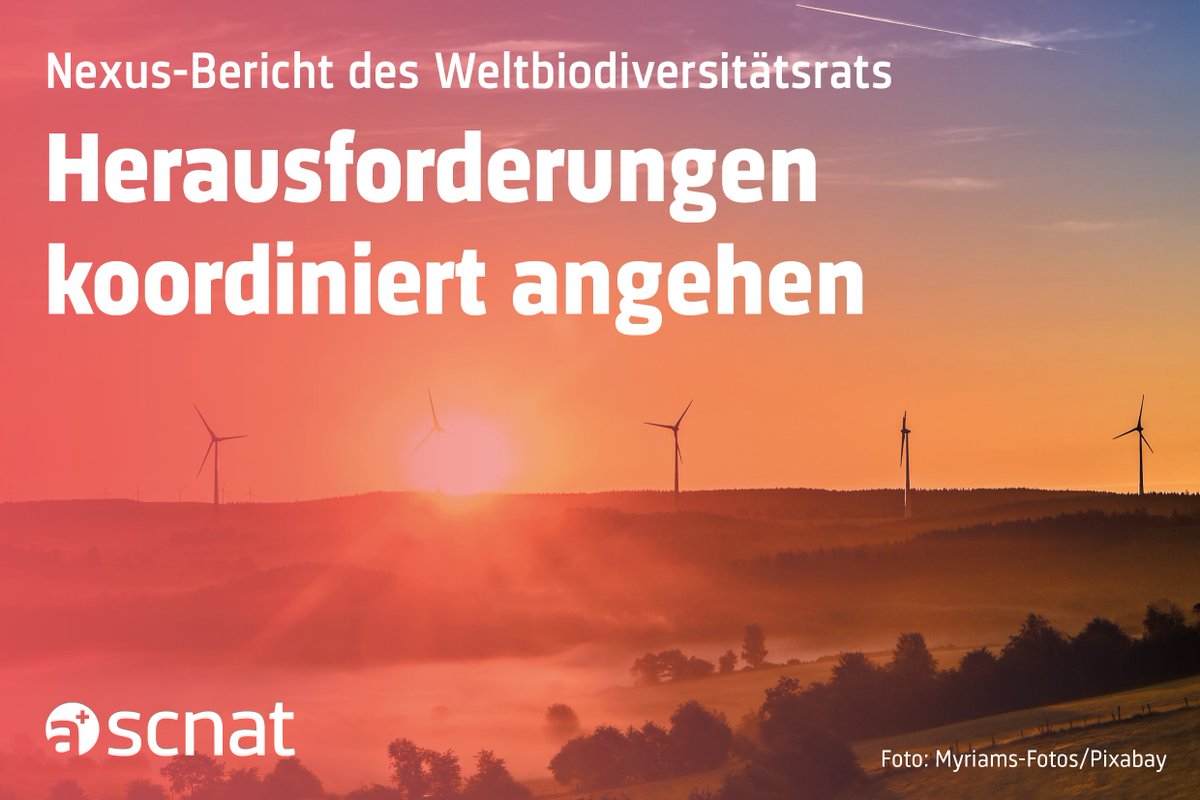 🌍 Herausforderungen rund um #Biodiversität, #Wasser, #Nahrung, #Gesundheit und #Klima koordiniert angehen – 165 Expert:innen haben Zusammenhänge, Zukunftsszenarien und konkrete Handlungsoptionen im aktuellen #NexusAssessment (<a href="/IPBES/">ipbes</a>) analysiert. Mehr dazu ➡️
