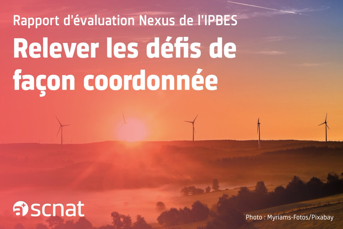 🌍 Relever de façon coordonnée les défis en matière de #biodiversité, #eau, #alimentation, #santé et #climat – 165 experte·e·s ont analysé les rapports, scénarios d’avenir et options concrètes d’action dans le rapport d’évaluation #Nexus (@IPBESfr). En savoir plus ➡️