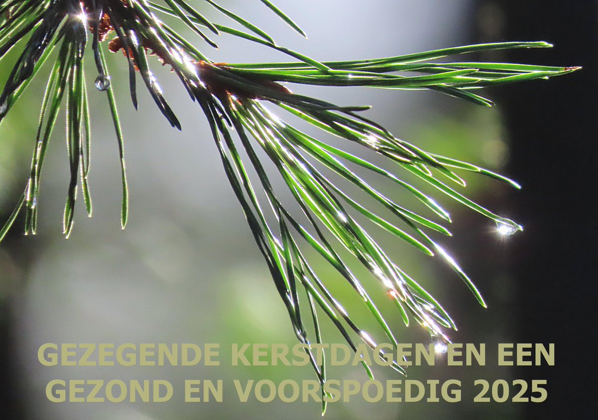 Laatste <a href="/RaadEemsdelta/">Raad Eemsdelta</a> in 2024 op 11 december met
o.a.  zienswijze (een mening) ingediend op de economische agenda <a href="/nijbegun/">nijbegun</a>. 

En aandacht voor het PvE Huis van Cultuur en Bestuur. 

<a href="/CUEemsdelta/">ChristenUnie Eemsdelta</a> Ina Schenkel en Gert Drenth gaven hun bijdragen..

Info: eemsdelta.christenunie.nl