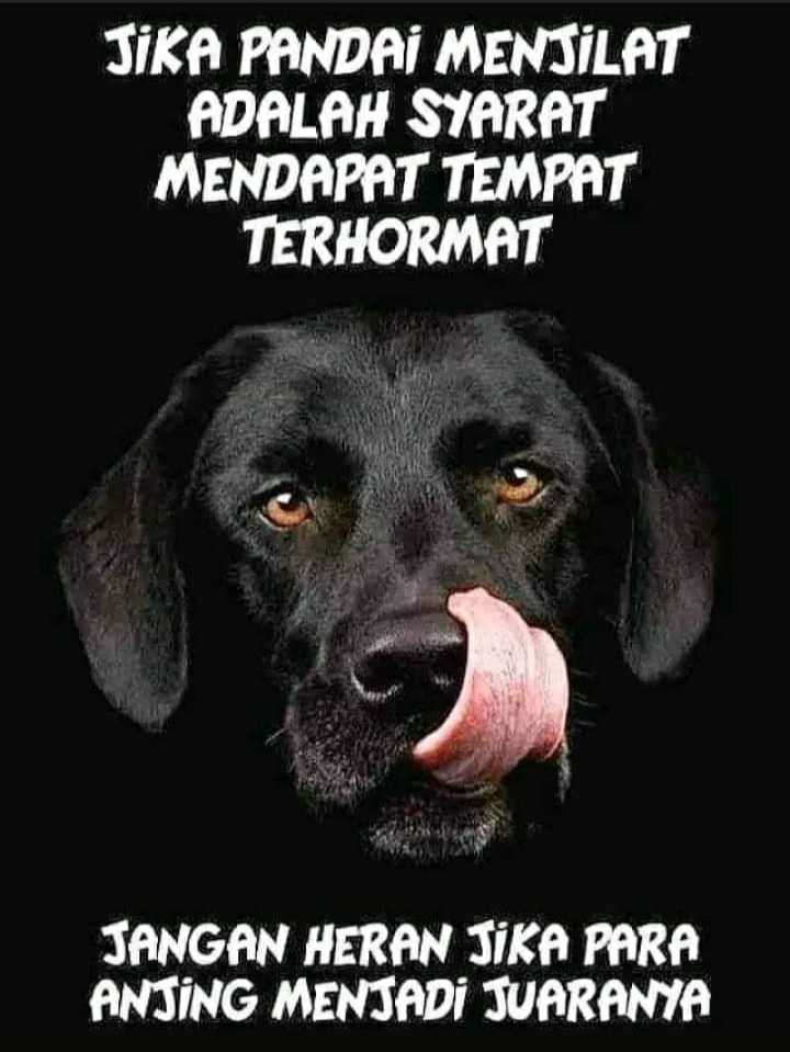 sugimanto_w's tweet photo. @xquitavee @prabowo @jokowi Ternyata sama" penjilat.. https://t.co/hHWdmKC3fF