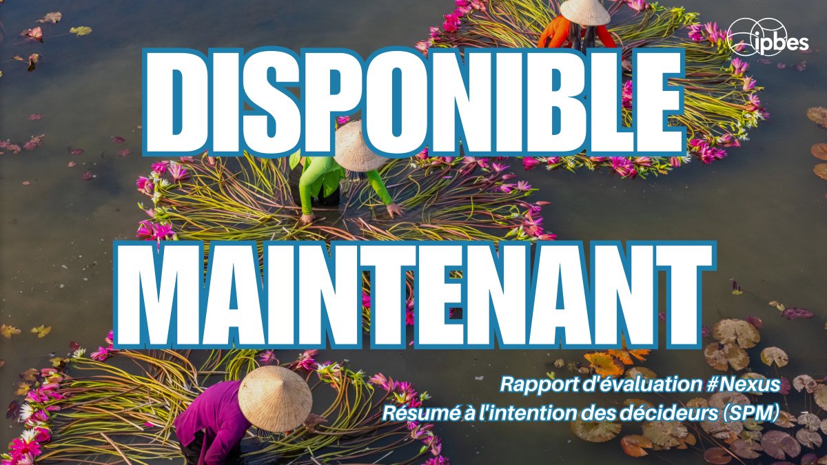 🚨NOUVEAU🚨

📚Le Résumé du rapport #Nexus <a href="/IPBES/">ipbes</a> est dispo (anglais) !

➡️Découvrez l'évaluation sur les interconnexions entre la biodiversité, l'eau, l'alimentation, la santé &amp; le climat pour un avenir juste &amp; durable !

Communiqué de presse en francais: ipbes.canto.de/v/IPBES11Media…