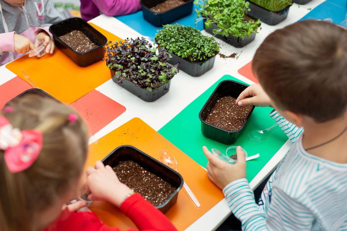 tlctriangle's tweet image. Gardening + Responsibility = Growing Minds! What plants does your child love to care for? 

#TLCGarden #earlychildhooddevelopment #trianglelearningcenter #playschool #kids #learning #preschool #kindergarten