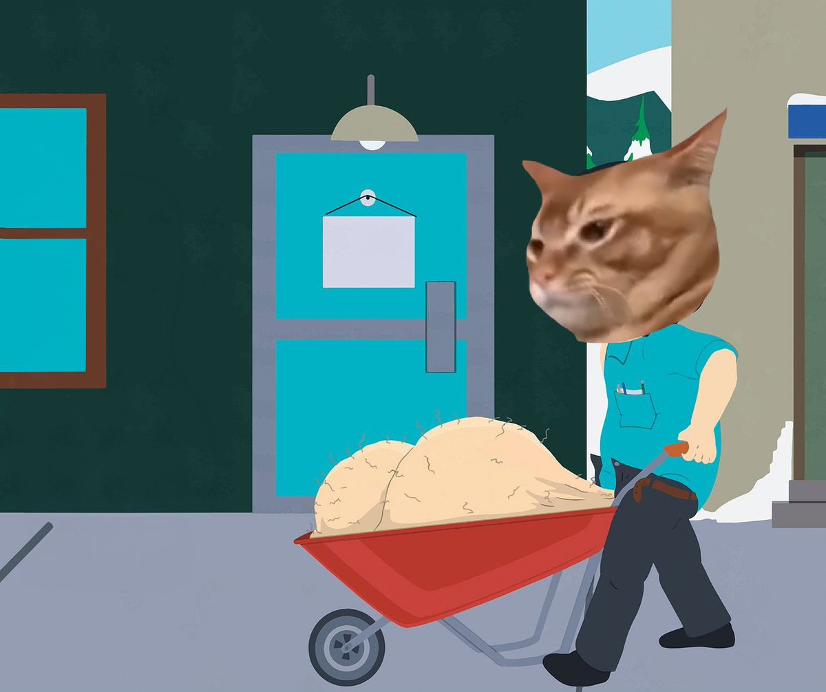 Catslap tweet media
