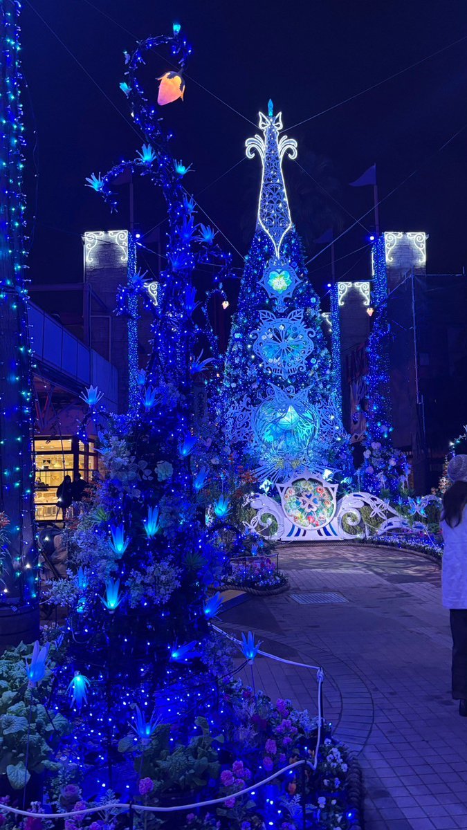 SakuraRei_h's tweet image. ひらパーのイルミ✨