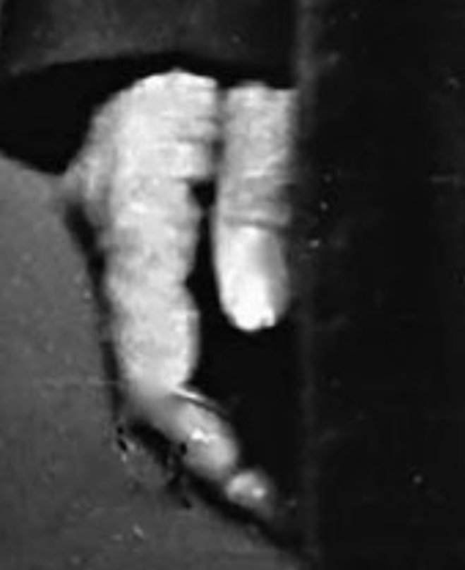 Alfred🇨🇵 tweet media