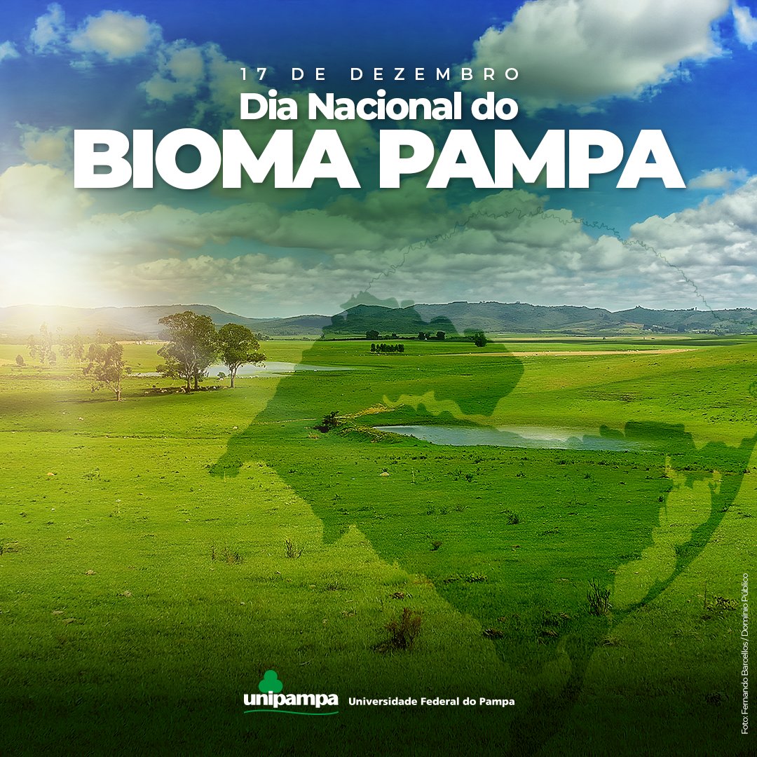 Unipampa tweet media