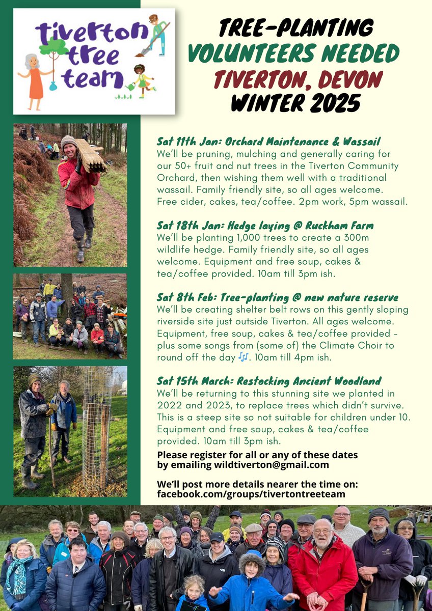 Free post-Christmas workouts in Devon offered #treeplanting #climatecrisis #feelabitbetter