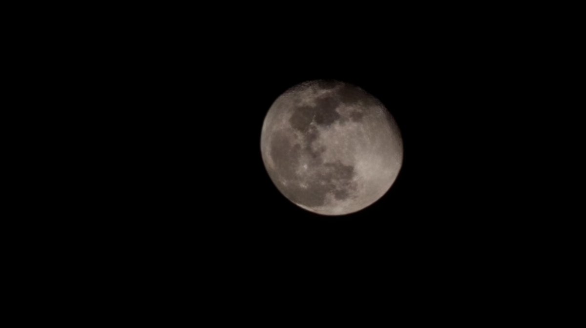 _Spring_Fall_'s tweet photo. 🌕 https://t.co/aVRZf1R1C5
