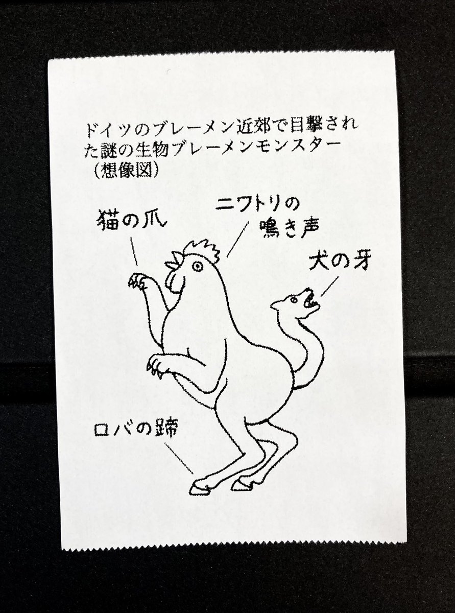 今日の怪文書1755 