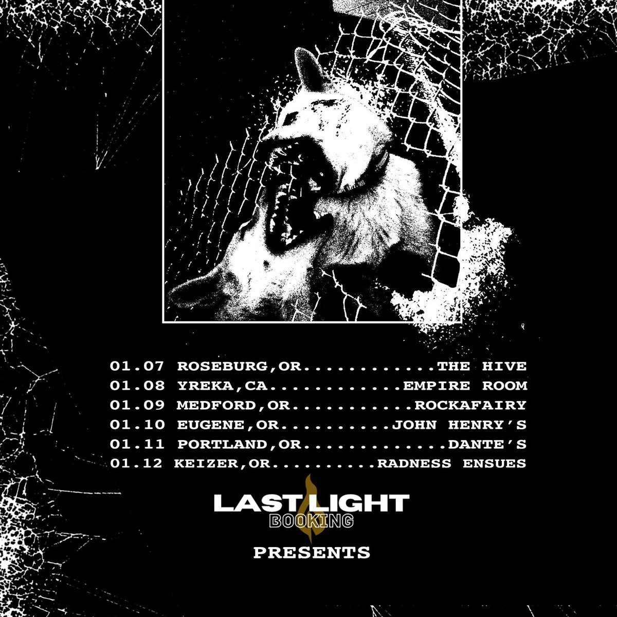 withincaskets's tweet photo. We get to hit the road with our friends in @WTBBband in January. Hopefully we catch you in your city! https://t.co/hJyjKiv9Ok