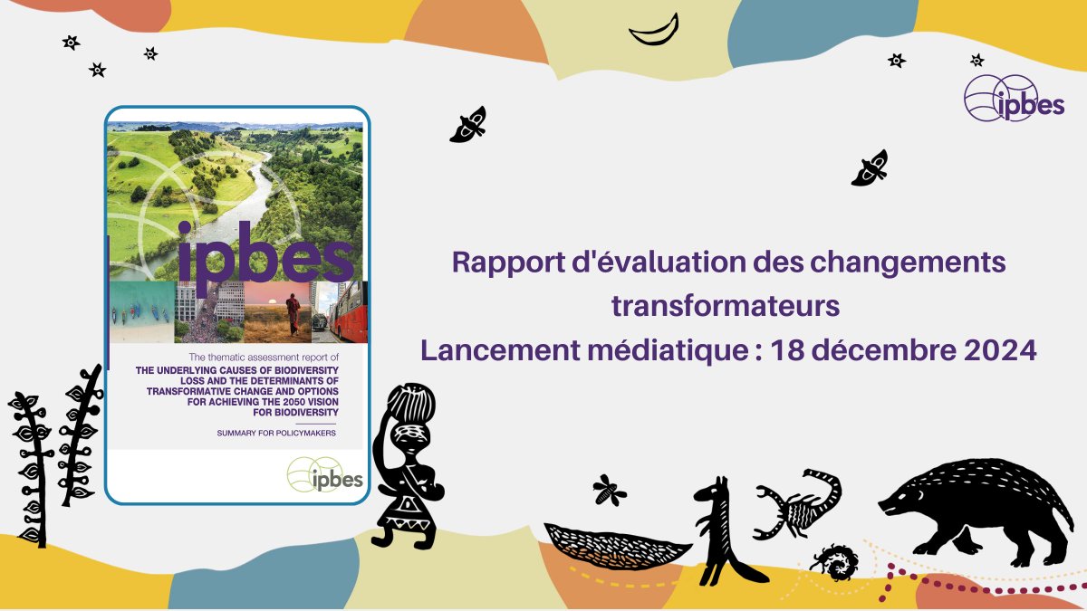 DalalAfa's tweet photo. The IPBES plenary has just approved the Transformative Change Assessment, completing 4 years of work mobilizing over a hundred experts.
 welcome to join this launch on the following link 
#TransformativeChangeAssessment
#NexusAssessment
https://t.co/nhwqiaQyIB via @YouTube https://t.co/jkORGRToNJ