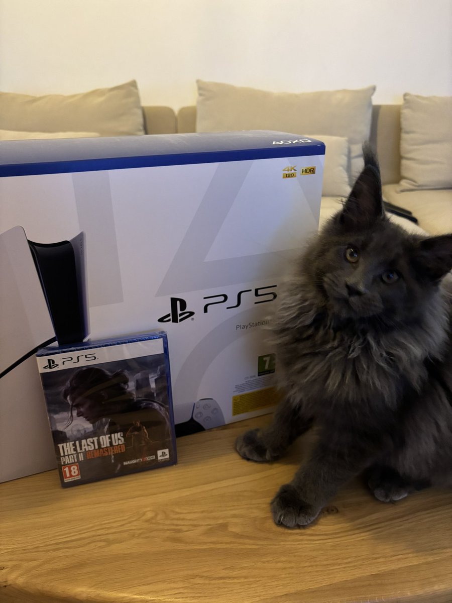 S7evin DTS ® tweet media