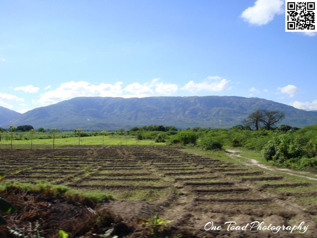 OneToad4u's tweet image. Awesome! I have wells in Kenya and Haiti now. #OneToadPhotography