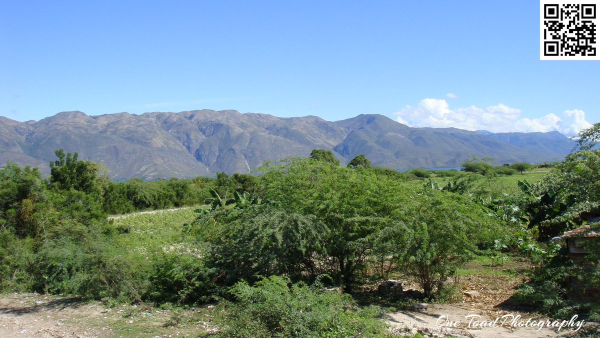 OneToad4u's tweet image. Awesome! I have wells in Kenya and Haiti now. #OneToadPhotography