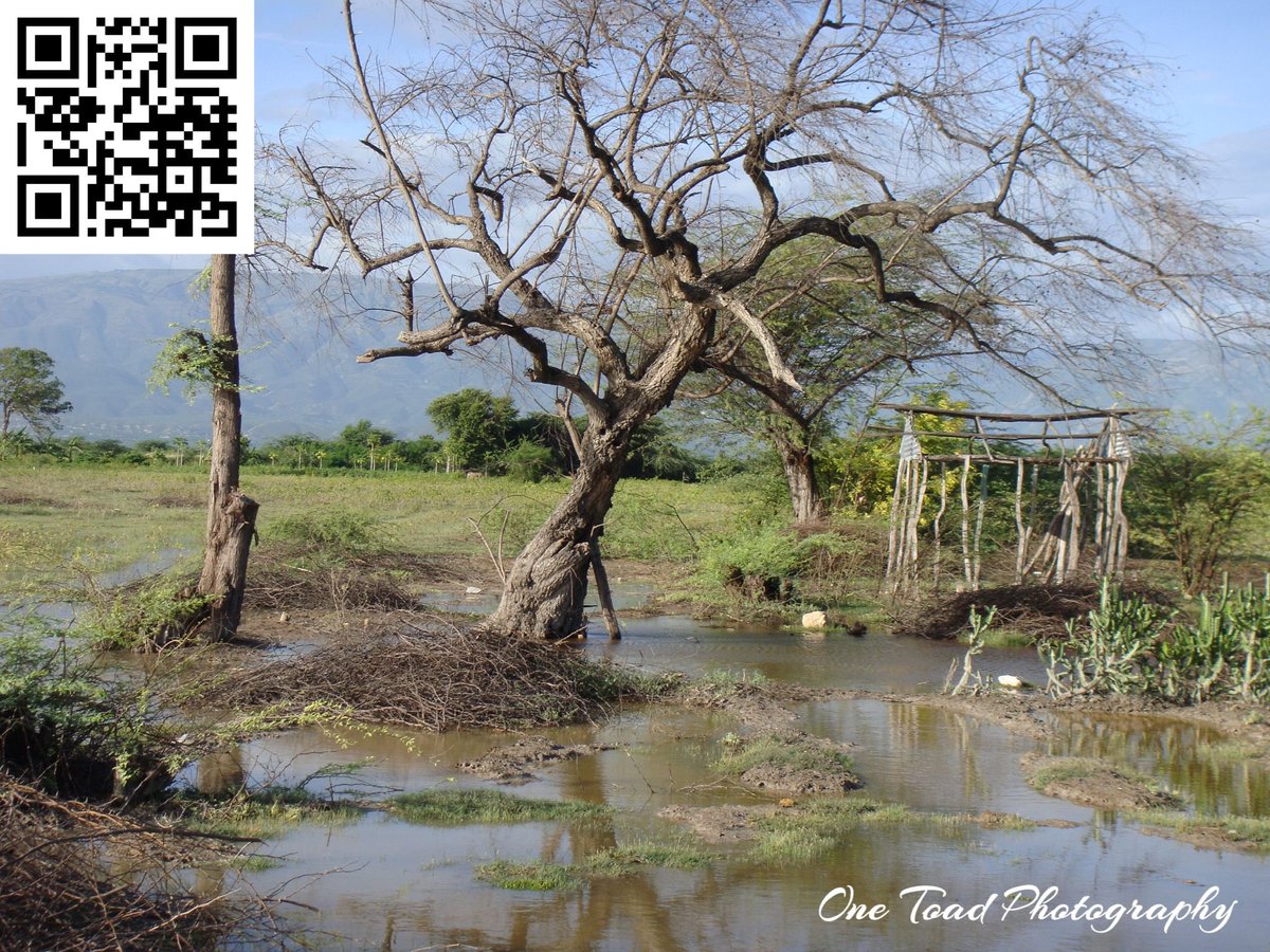 OneToad4u's tweet image. Awesome! I have wells in Kenya and Haiti now. #OneToadPhotography