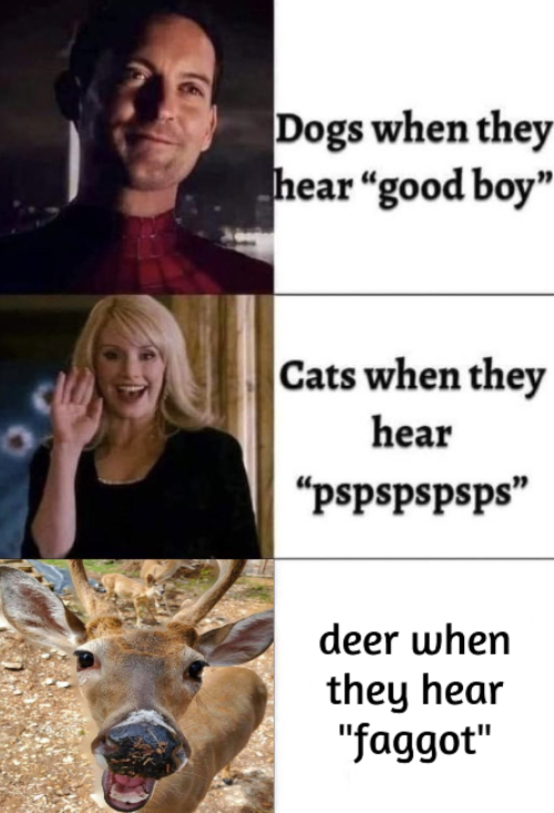 deertexting's tweet photo. https://t.co/aZAgDRoMI3