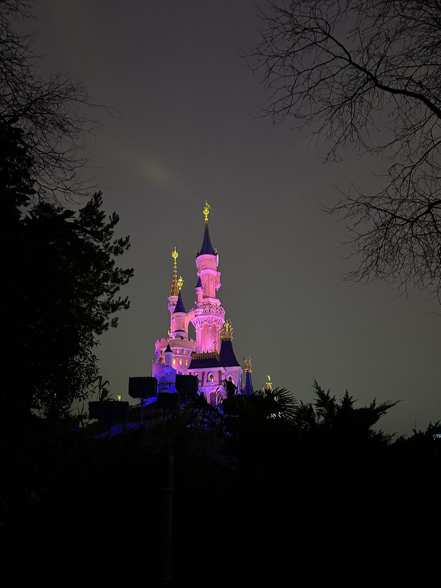 roy_wanders's tweet photo. happiest moment 💫 #disneylandparis https://t.co/FXjbZfP8C7