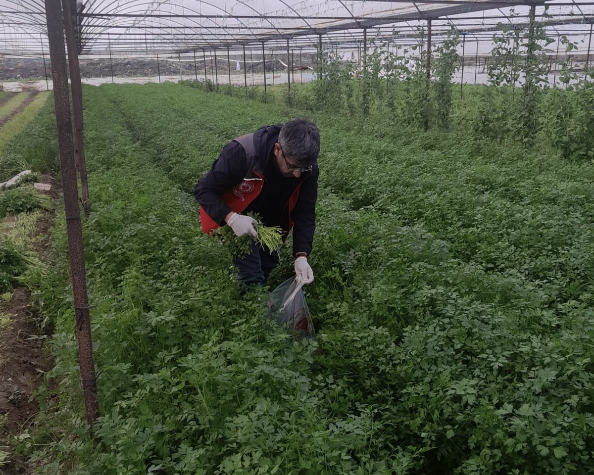 milastarim's tweet photo. Pestisit kalıntısının önlenmesi için sürekli sahadayız.

Bakanlığımız Hasat öncesi Pestisit Denetim  Programı numune alım kapsamında; İlçemizde bitki koruma ürünleri kullanımını denetliyoruz.

Hem doğamızı hem de tüketicileri korumaya devam edeceğiz. https://t.co/ys1qcyW5P0