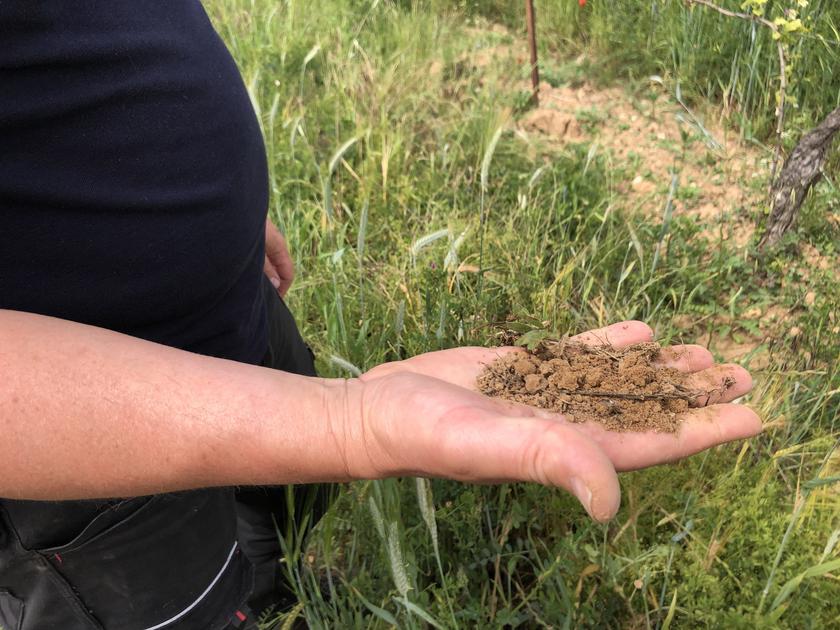 Réussir Bio tweet media