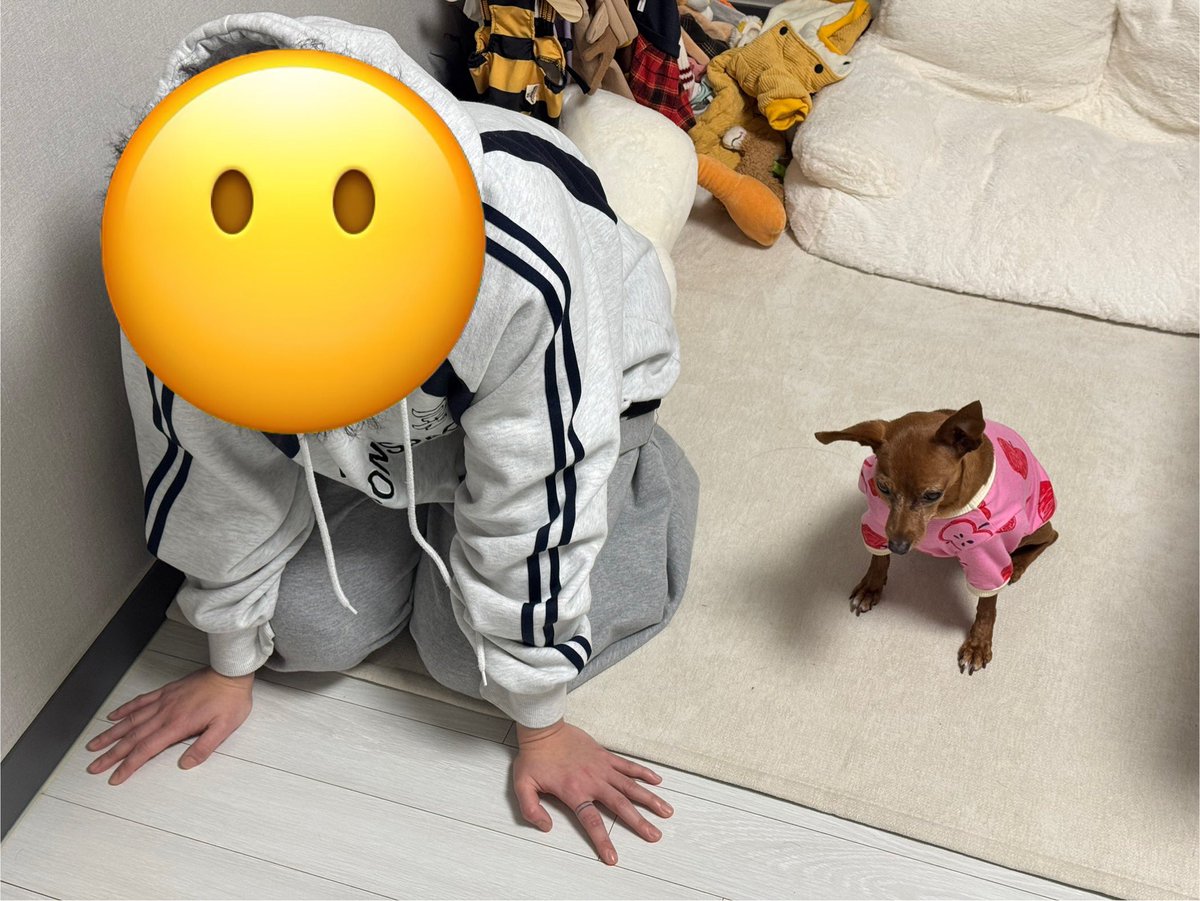 애인이 빌고 있는데 눈치 보면서 자기도 빌기 시작하는 개 ㅋㅋㅋㅋㅋㅋㅋㅋㅋㅋㅋㅋㅋㅋㅋㅋㅋㅋㅋㅋㅋㅋㅋㅋㅋㅋㅋㅋㅋㅋㅋㅋㅋㅋㅋㅋㅋㅋㅋㅋㅋㅋㅋㅋㅋㅋ