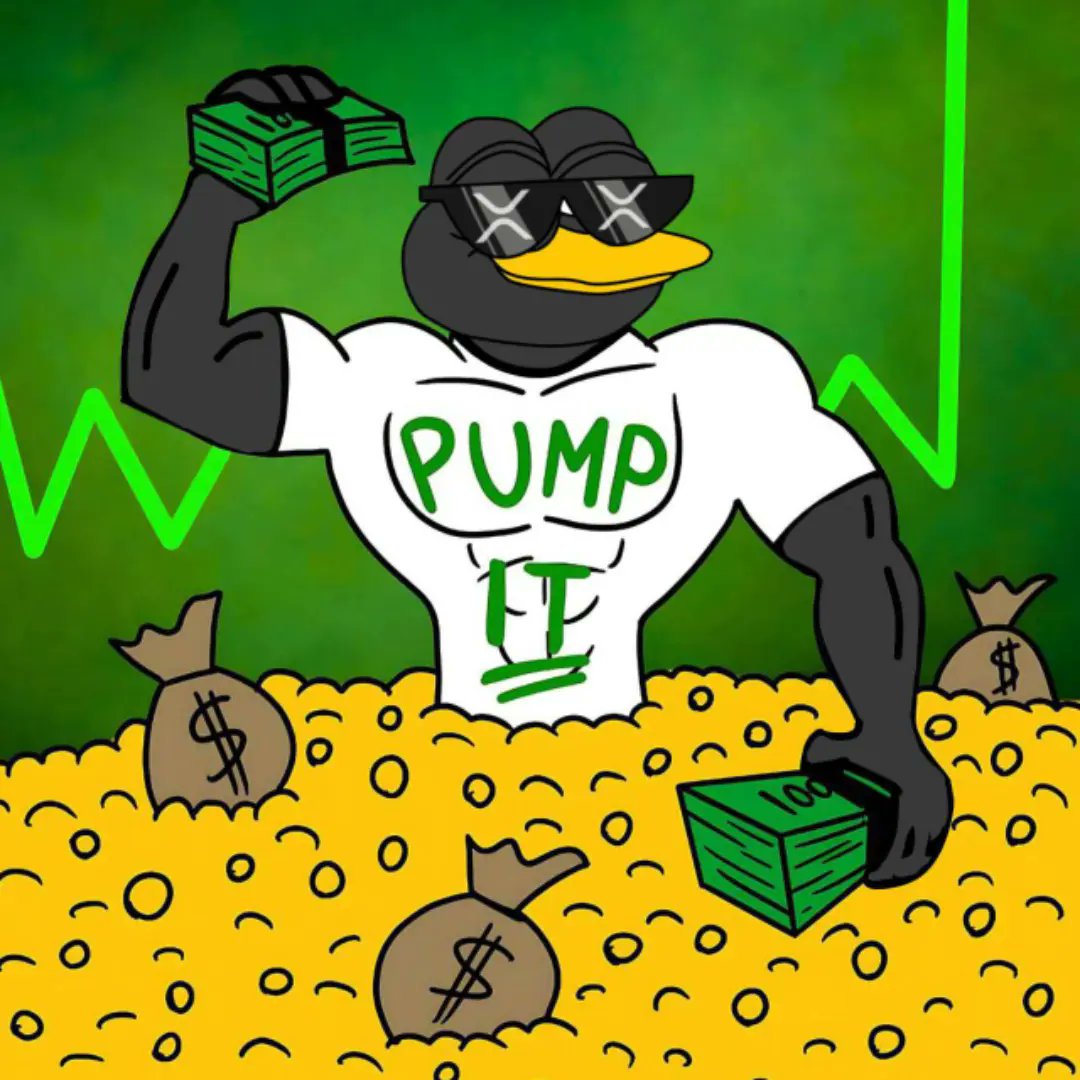 XRPeng CTO 🐧 tweet media
