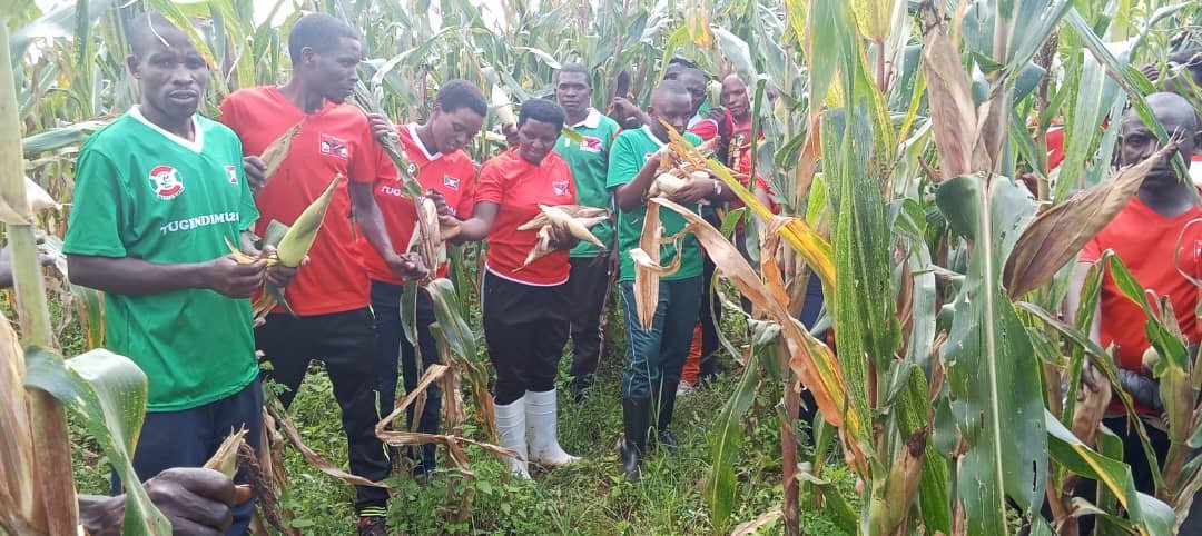 CnddFddButanyer's tweet photo. 17/12/2024 Ubuserukizi bw'umuhari w'imbonerakure muri komine #Ngozi bwagendeye zone #Rukeco , Umutumba #Gatika ahari umurima w,ibigori vy'Imbonerakure ungana ni hectare 2 n'Igice no ku mutumba #Kimagara mu gusarura ibigori vyarimwe muci.
@CnddFdd
@R_Ndikuriyo
@DorianeMunezero https://t.co/Stame3NLAp