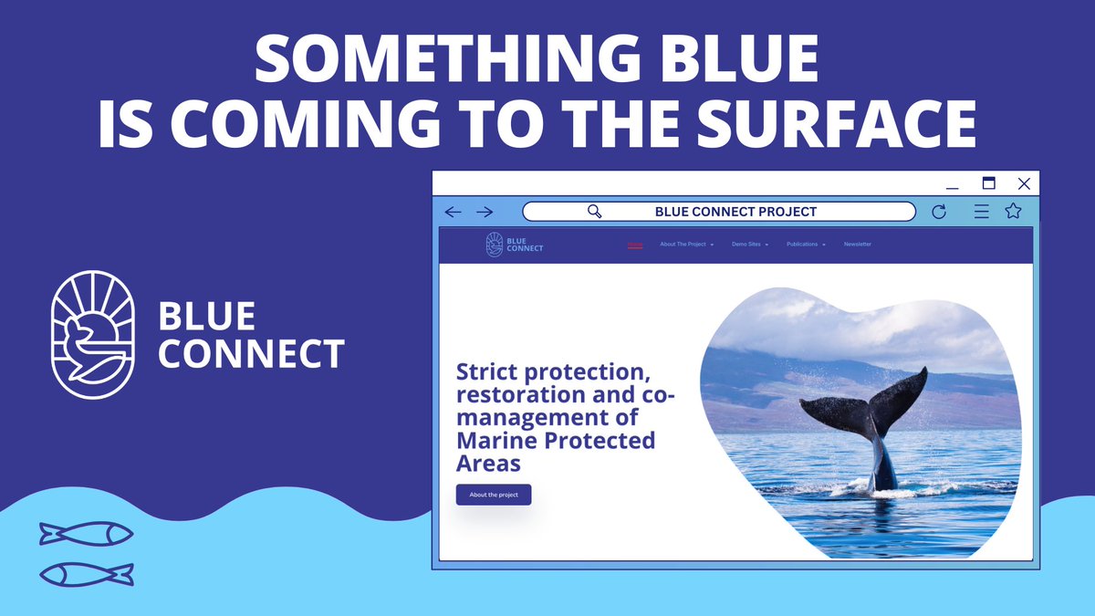 BlueConnectEU's tweet photo. 🌊 The @BlueConnectEU website is live!
Discover:
🌍 Insights into the project
🌊 Details on our demo sites
🤝 Ways to collaborate
👉🏻Explore how we’re advancing #oceanInnovation and #Sustainability 🔗 https://t.co/poeXTYADs6
#BlueConnect #OceanInnovation #Sustainability https://t.co/plDmJ55HBY