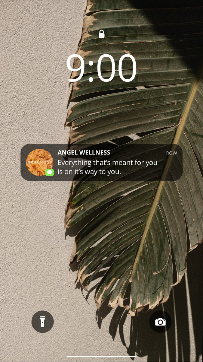 AnGelMossInc's tweet photo. https://t.co/SPHKSSpmQF