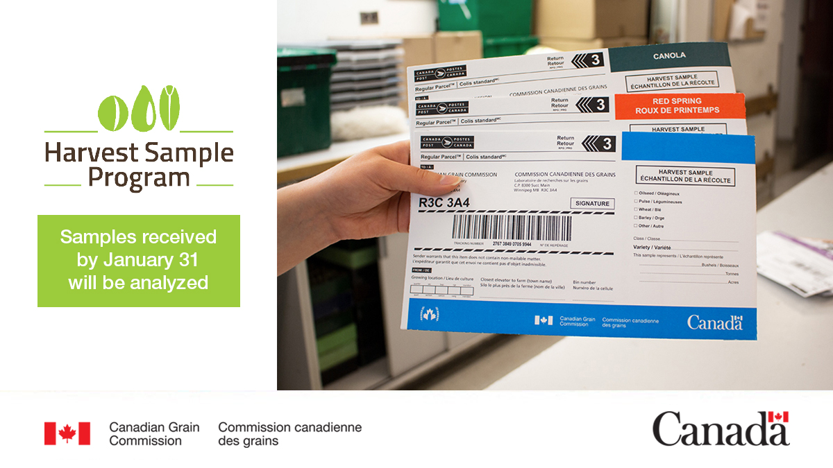 mb_cropalliance's tweet photo. The submission deadline for @Grain_Canada’s #HarvestSampleProgram has been extended due to the Canada Post labour disruption. Samples received by Jan. 31 will be analyzed.
Learn more: https://t.co/YqyhdI4DUK
#cdnag #MbAg https://t.co/Xh6dgHj4Rk