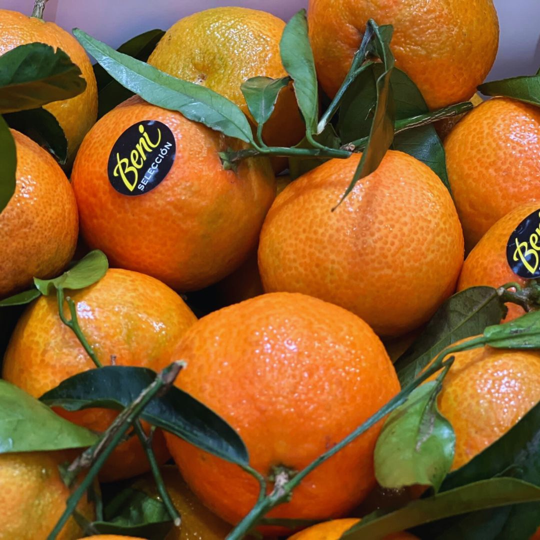 Pequeñas, jugosas y llenas de sabor. Las mandarinas son el snack perfecto para cualquier momento 😍

#mandarinas #mercamadrid #manguan #vistoenmercamadrid