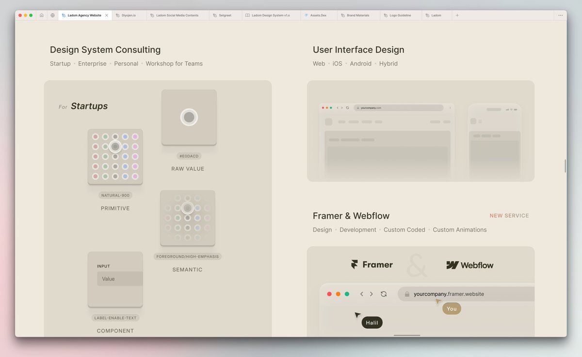 halil nuroğlu🌲 tweet media