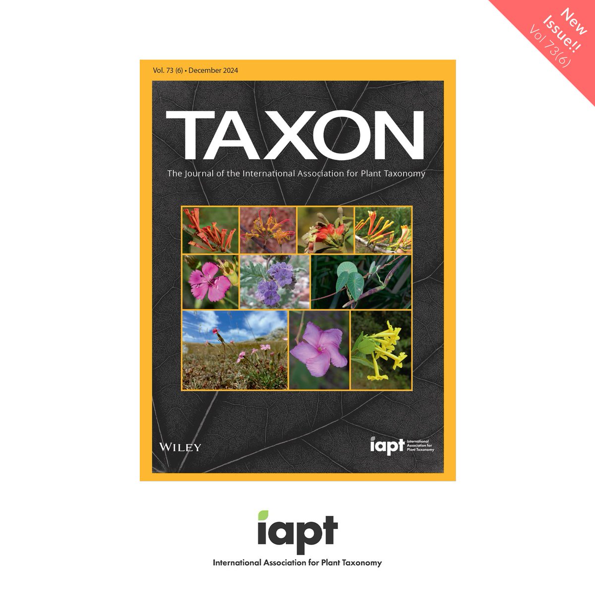 Check out the December/2024 issue of TAXON [73(6)]! 🪸🍄🌿
onlinelibrary.wiley.com/toc/19968175/c…