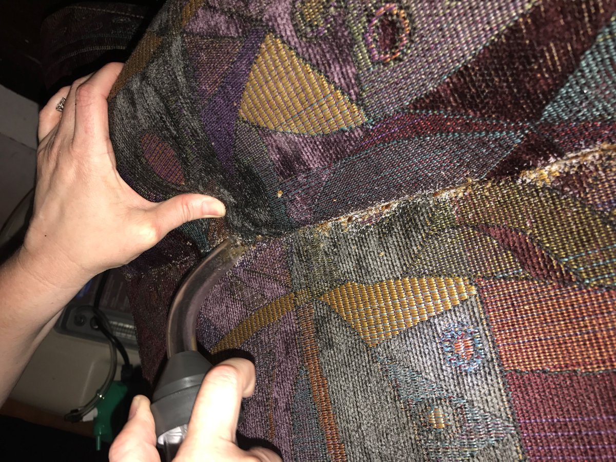 csi_pest's tweet image. Bed bugs invading furniture? 🛋️ PMPs, equip yourself with the tools and strategies to handle these challenging infestations. Explore our blog for key insights:  #BedBugs #PestControlProfessionals #CSIInsights
Get them here: 👇
hubs.la/Q02-YS7-0