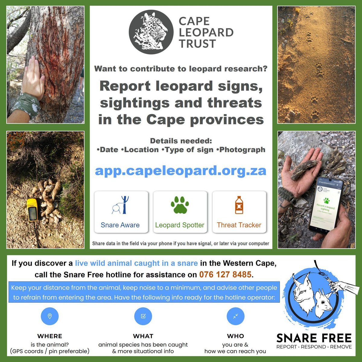CapeLeopardTrst's tweet photo. Holiday #CallToAction ~ 𝗪𝗮𝗻𝘁 𝘁𝗼 𝗰𝗼𝗻𝘁𝗿𝗶𝗯𝘂𝘁𝗲 𝘁𝗼 𝗹𝗲𝗼𝗽𝗮𝗿𝗱 𝗿𝗲𝘀𝗲𝗮𝗿𝗰𝗵 &amp; 𝗰𝗼𝗻𝘀𝗲𝗿𝘃𝗮𝘁𝗶𝗼𝗻?
Follow the details below!
#LeopardResearch #LeopardConservation #CitizenScience #SnareFree #SnareFreeWesternCape https://t.co/1vKCV7dlpt