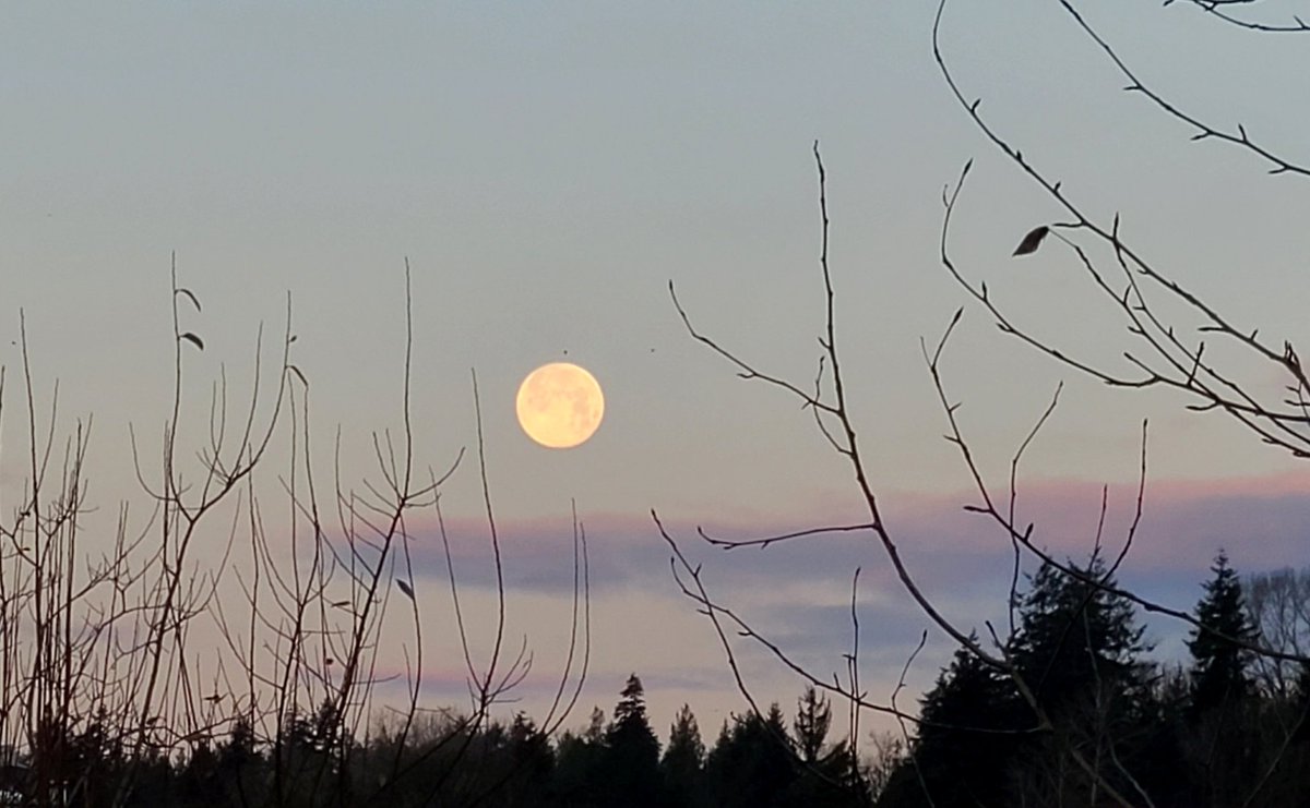 howyougo's tweet photo. Good morning but Sunday sunrise was beautiful! Full Cold Moon, King Tide along the Fraser River!
#sunrise #GoodMorning #Sunday #bcstormwatch #fullcoldmoon #Vancouver #StormHour #moon #FraserRiver #hightide #crow #pinkclouds #kingtide #autumn #Westcoast #ShareYourWeather https://t.co/HJoWdWwU3s