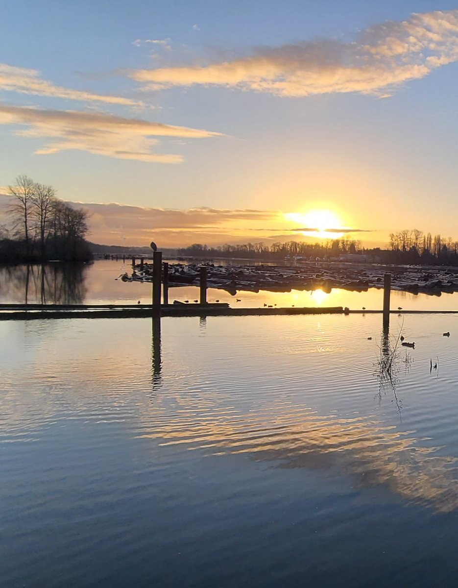 howyougo's tweet photo. Good morning but Sunday sunrise was beautiful! Full Cold Moon, King Tide along the Fraser River!
#sunrise #GoodMorning #Sunday #bcstormwatch #fullcoldmoon #Vancouver #StormHour #moon #FraserRiver #hightide #crow #pinkclouds #kingtide #autumn #Westcoast #ShareYourWeather https://t.co/HJoWdWwU3s